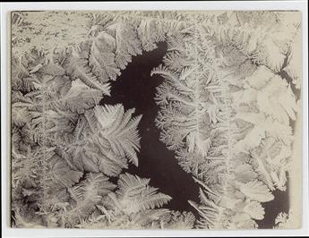 BENTLEY, WILSON A. (1865-1931) Group of 5 photographs of frost studies.